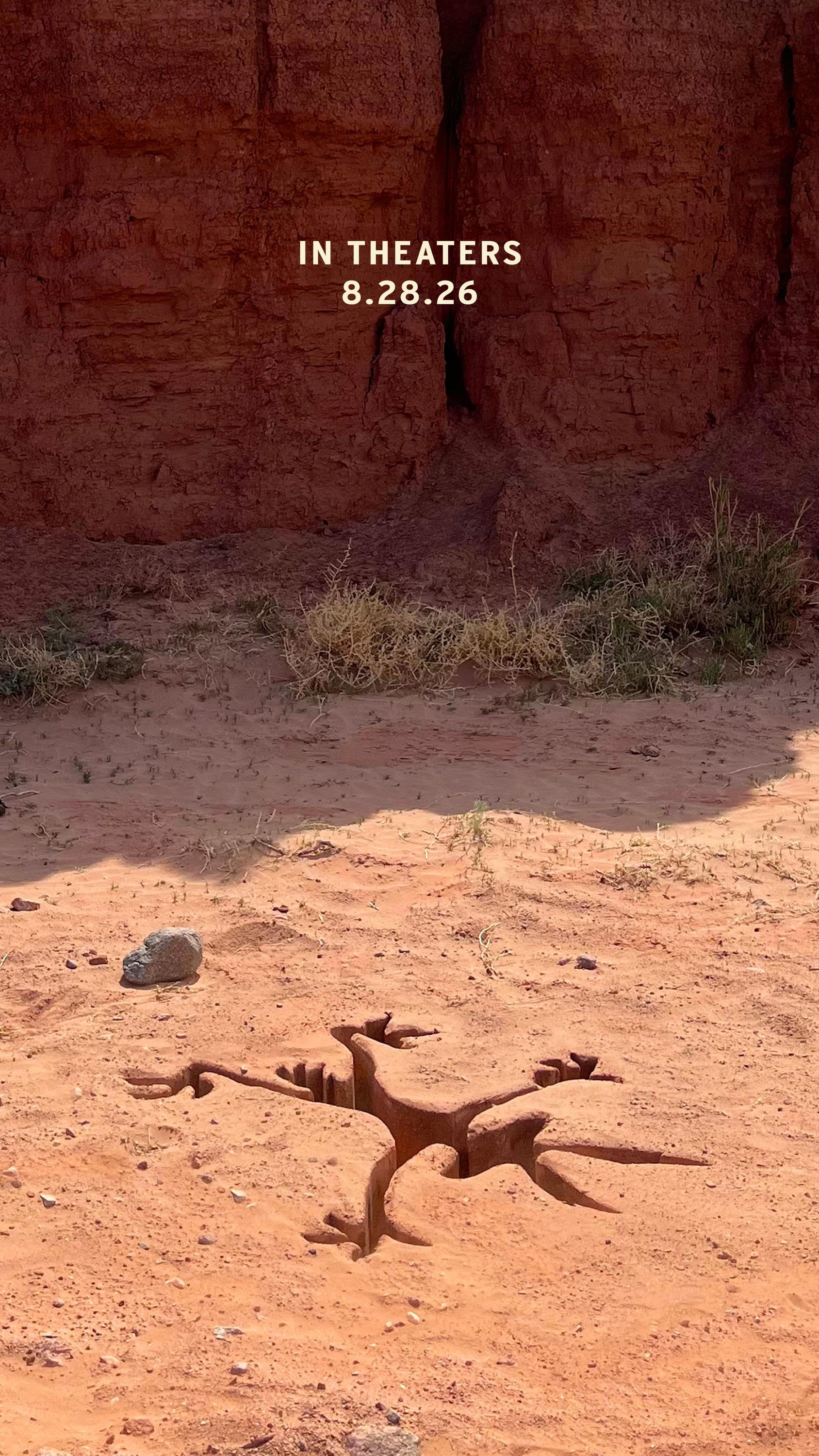 Official theatrical poster artwork for Coyote vs. Acme (2026)